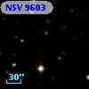 NSV  9603