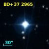 BD+37  2965