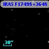IRAS F17498+3648