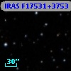 IRAS F17531+3753