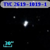 TYC 2619-1019-1