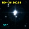 BD+36  3026B