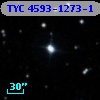 TYC 4593-1273-1