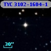 TYC 3102-1604-1