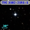 TYC 3102-2181-1