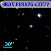 IRAS F18175+3727