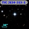 TYC 2634-313-1