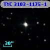 TYC 3103-1175-1