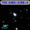 TYC 3103-1288-1