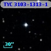 TYC 3103-1313-1