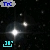 TYC 3103-1703-1