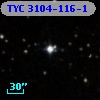 TYC 3104-116-1