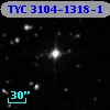 TYC 3104-1318-1