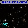 IRAS F18228+3626