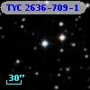 TYC 2636-709-1
