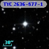 TYC 2636-877-1
