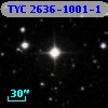 TYC 2636-1001-1