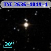 TYC 2636-1019-1