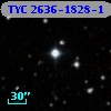 TYC 2636-1828-1