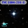 TYC 3104-231-1