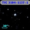 TYC 3104-1137-1