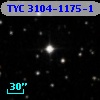 TYC 3104-1175-1