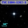 TYC 3104-1262-1