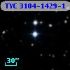 TYC 3104-1429-1