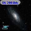 SN 2001bh