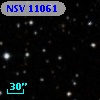 NSV 11061