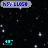 NSV 11050