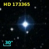 HD 173365