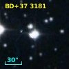BD+37  3181