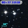 BD+37  3181B