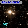 BD+36  4365C