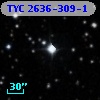 TYC 2636-309-1