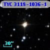 TYC 3118-1036-1