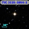TYC 3118-1084-1