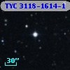 TYC 3118-1614-1