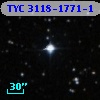 TYC 3118-1771-1