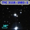 TYC 3118-1803-1