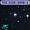 TYC 3118-1910-1