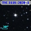 TYC 3118-2020-1