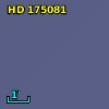 HD 175081