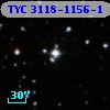 TYC 3118-1156-1