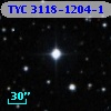 TYC 3118-1204-1