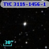 TYC 3118-1456-1