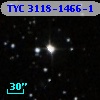 TYC 3118-1466-1