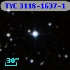 TYC 3118-1637-1