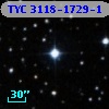 TYC 3118-1729-1